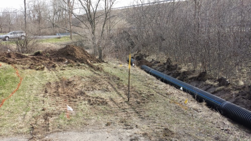 Winton Rain Garden 2014 (15)